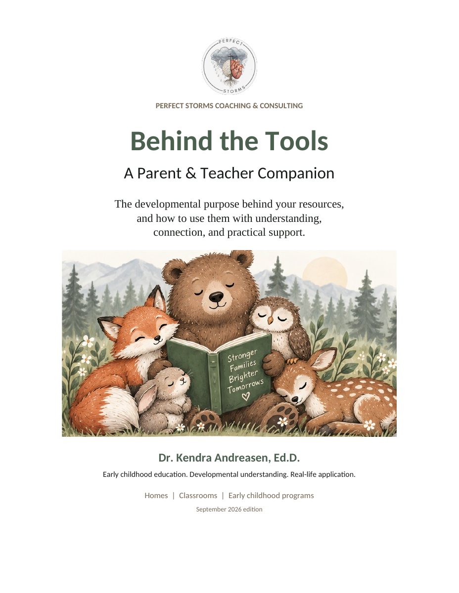Cover of the Perfect Storms Behind the Tools Companion